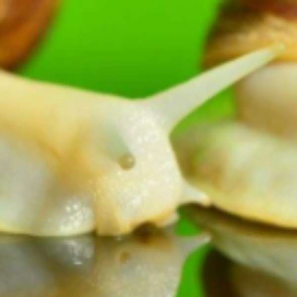 center_image