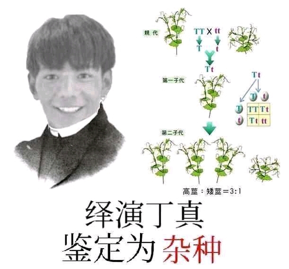 center_image