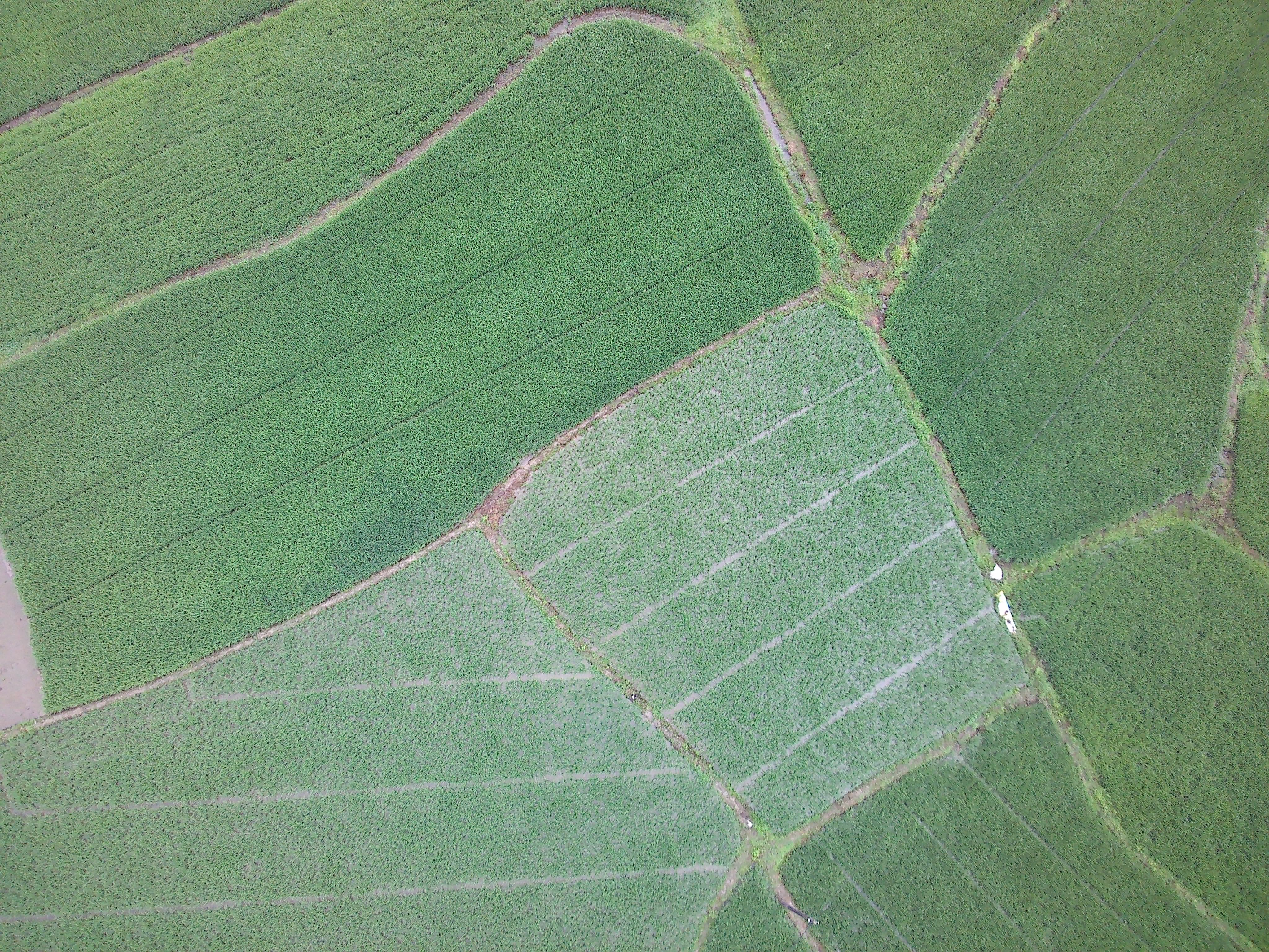 center_image