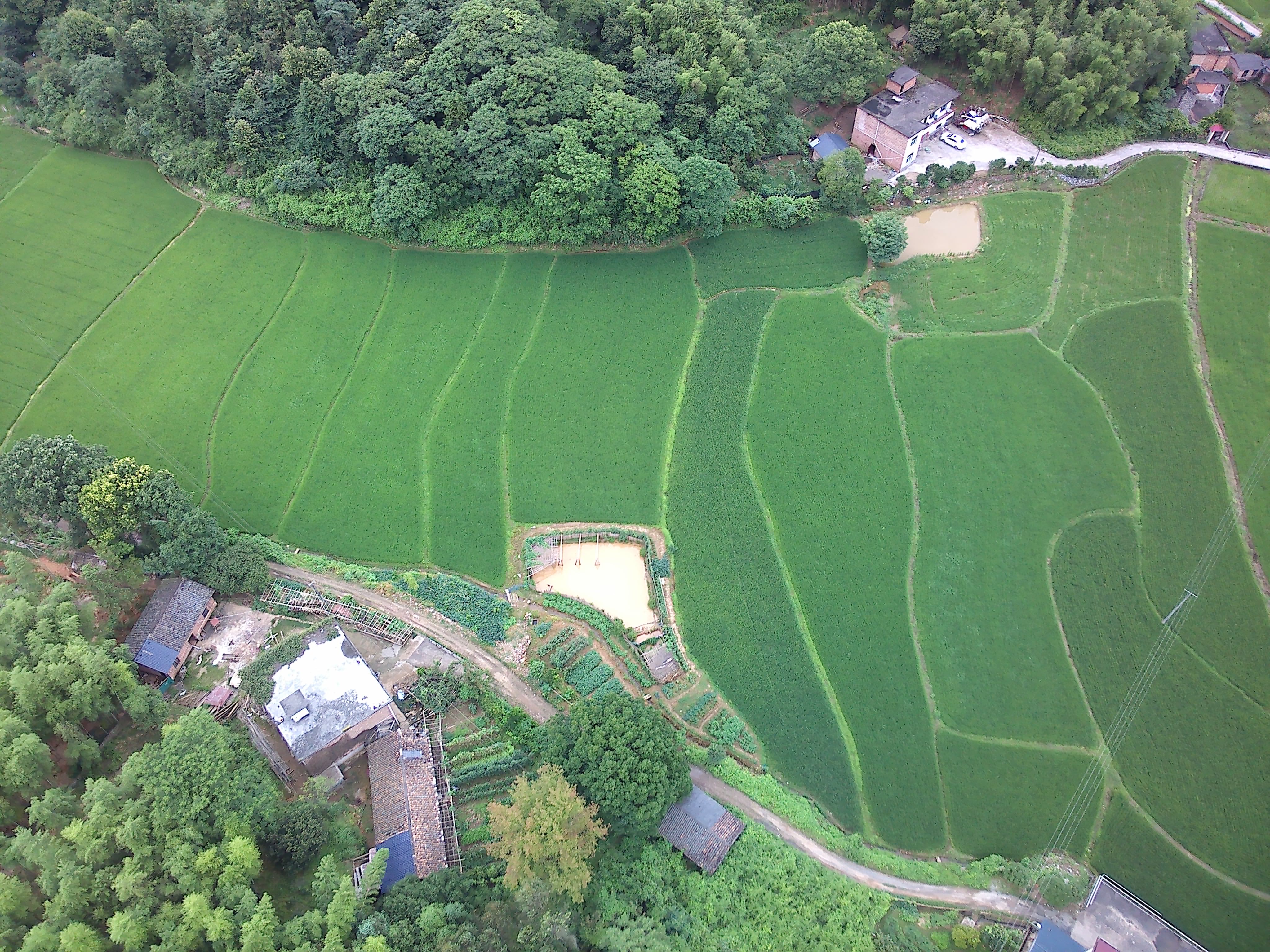 center_image
