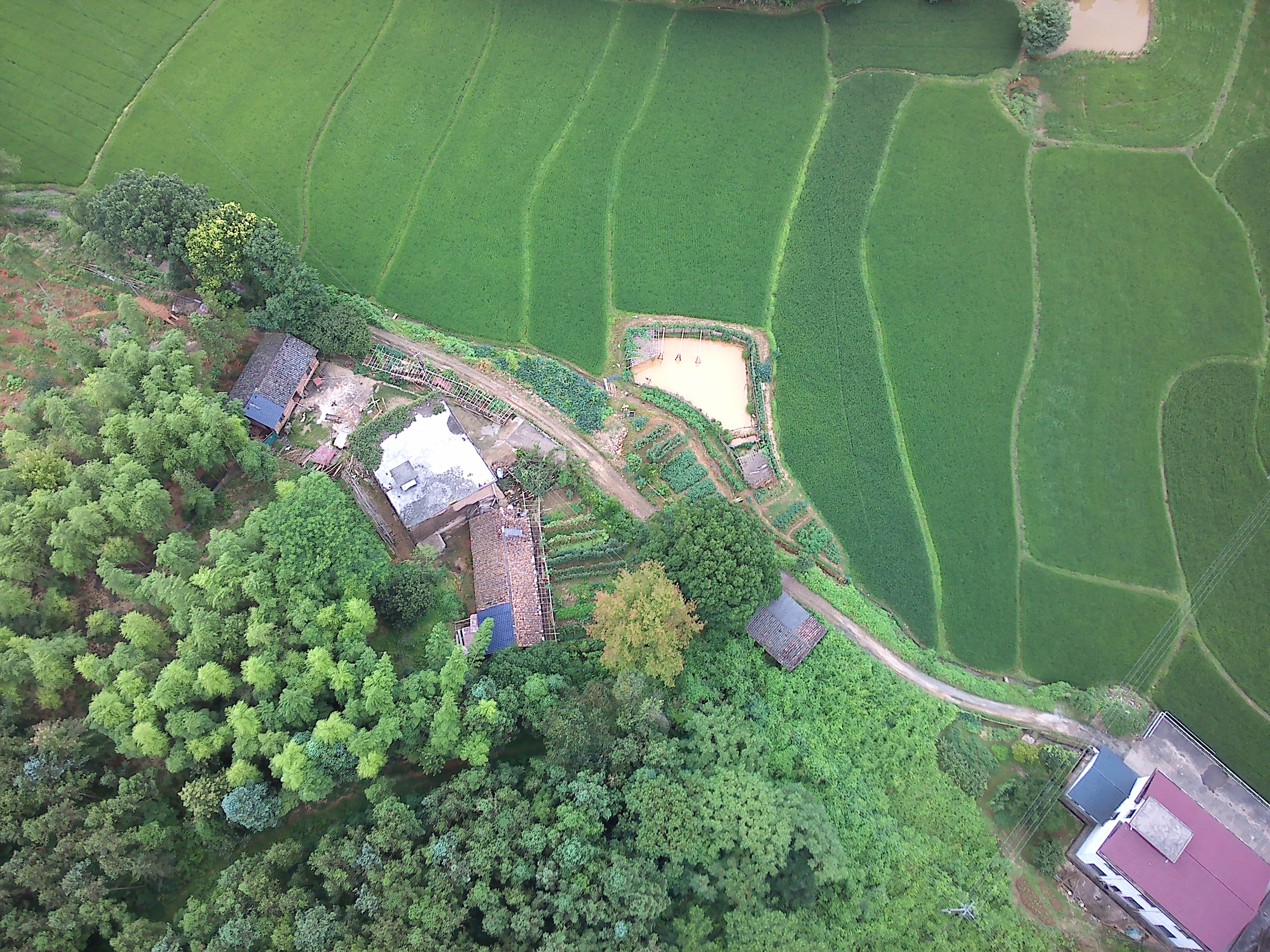 center_image