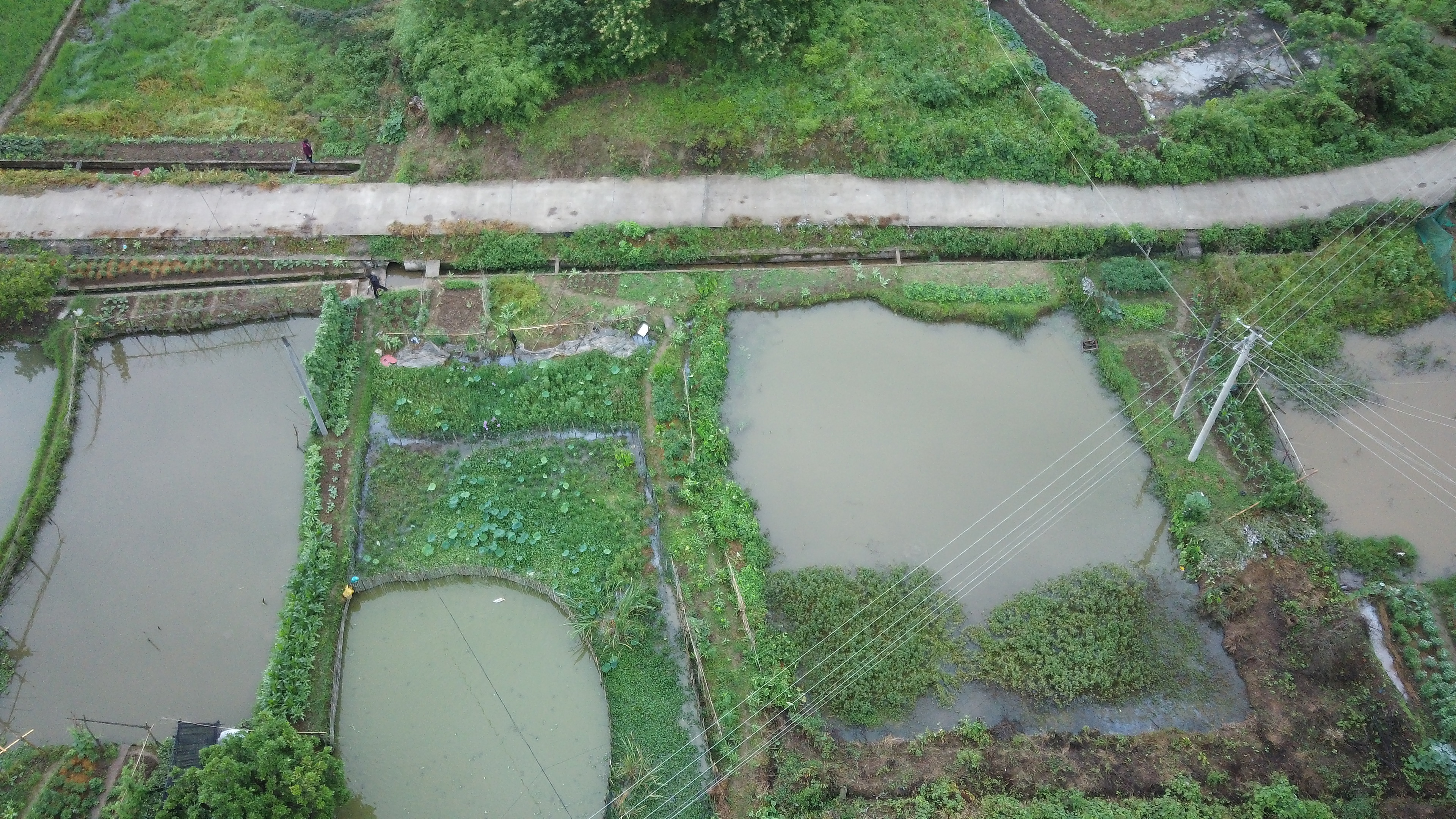 center_image