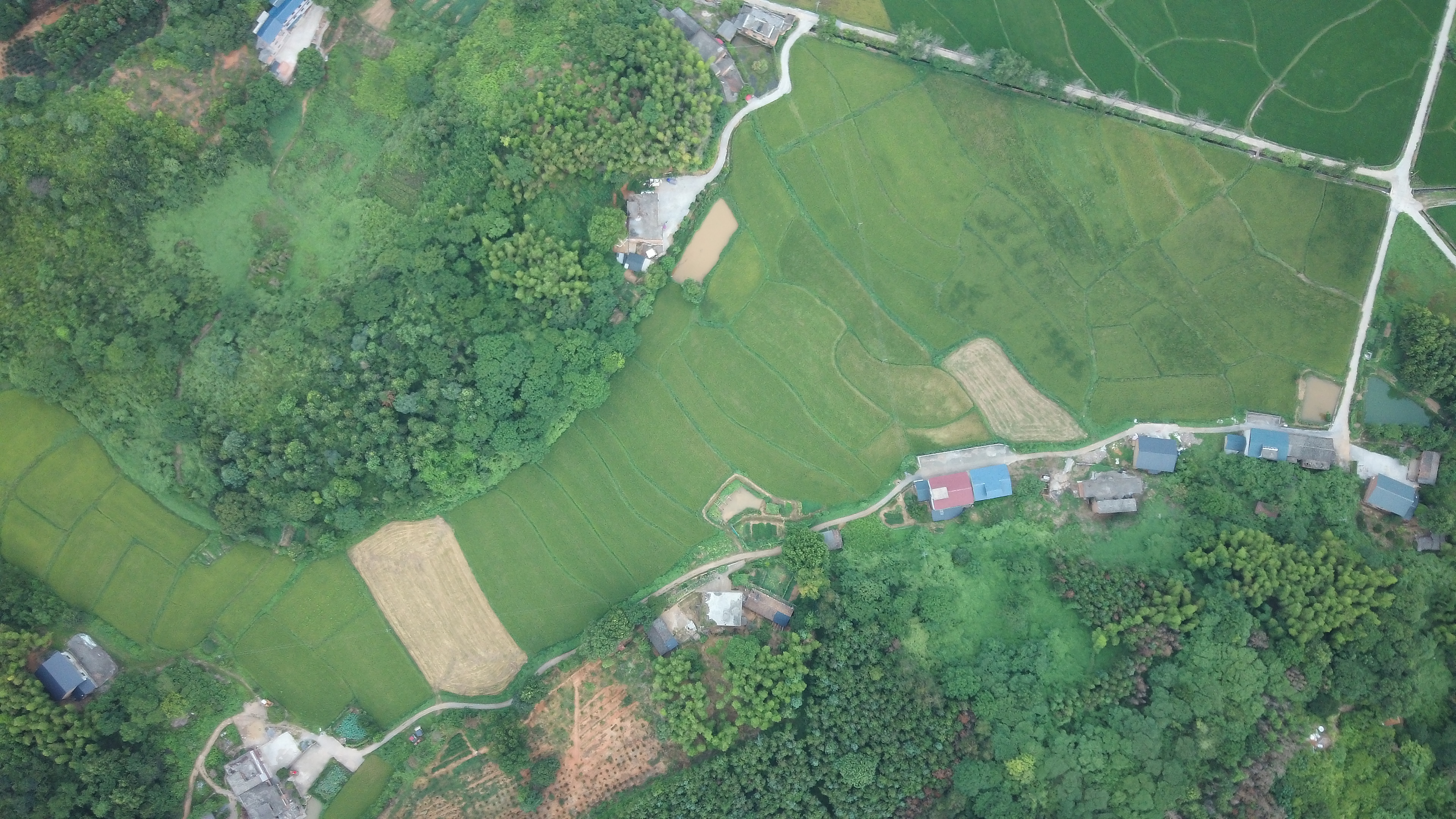center_image
