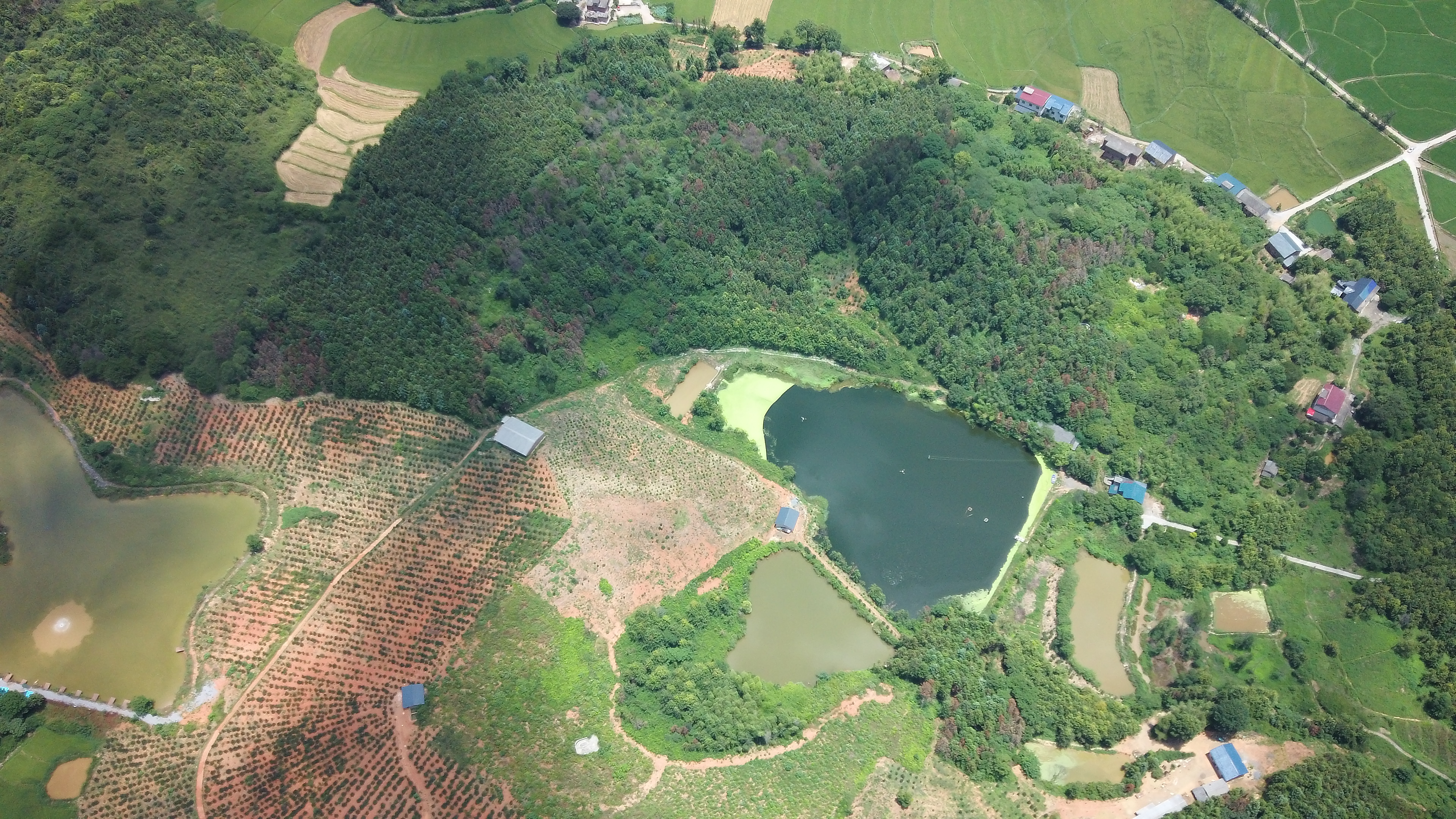 center_image