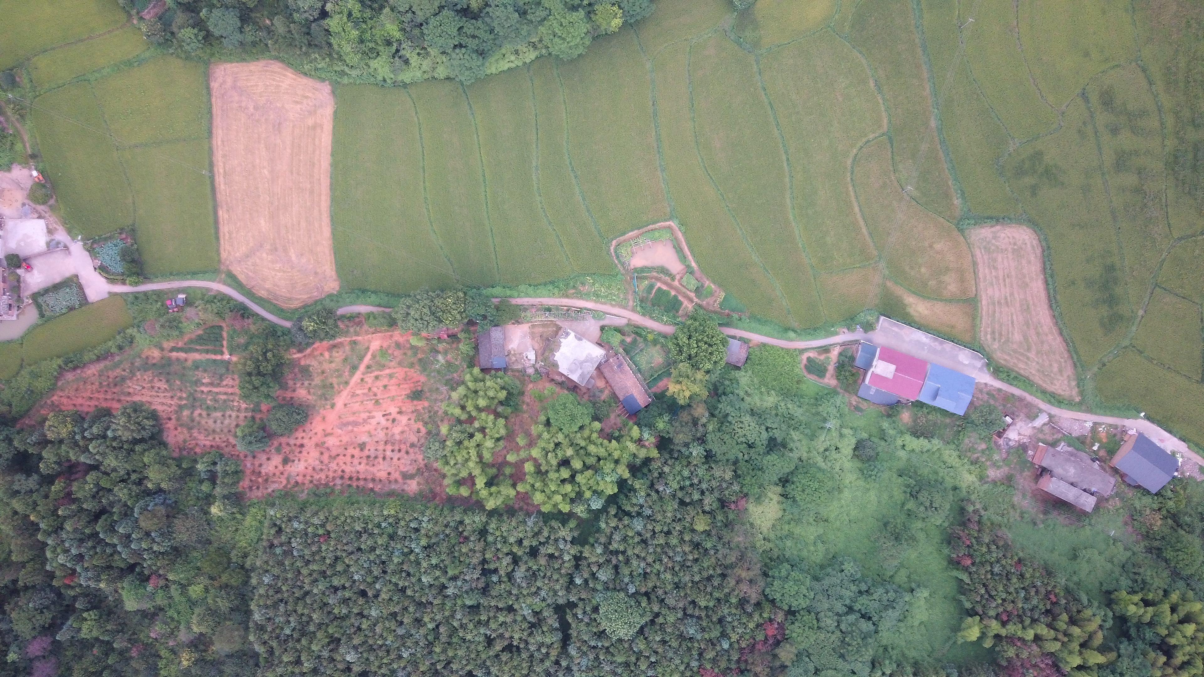 center_image