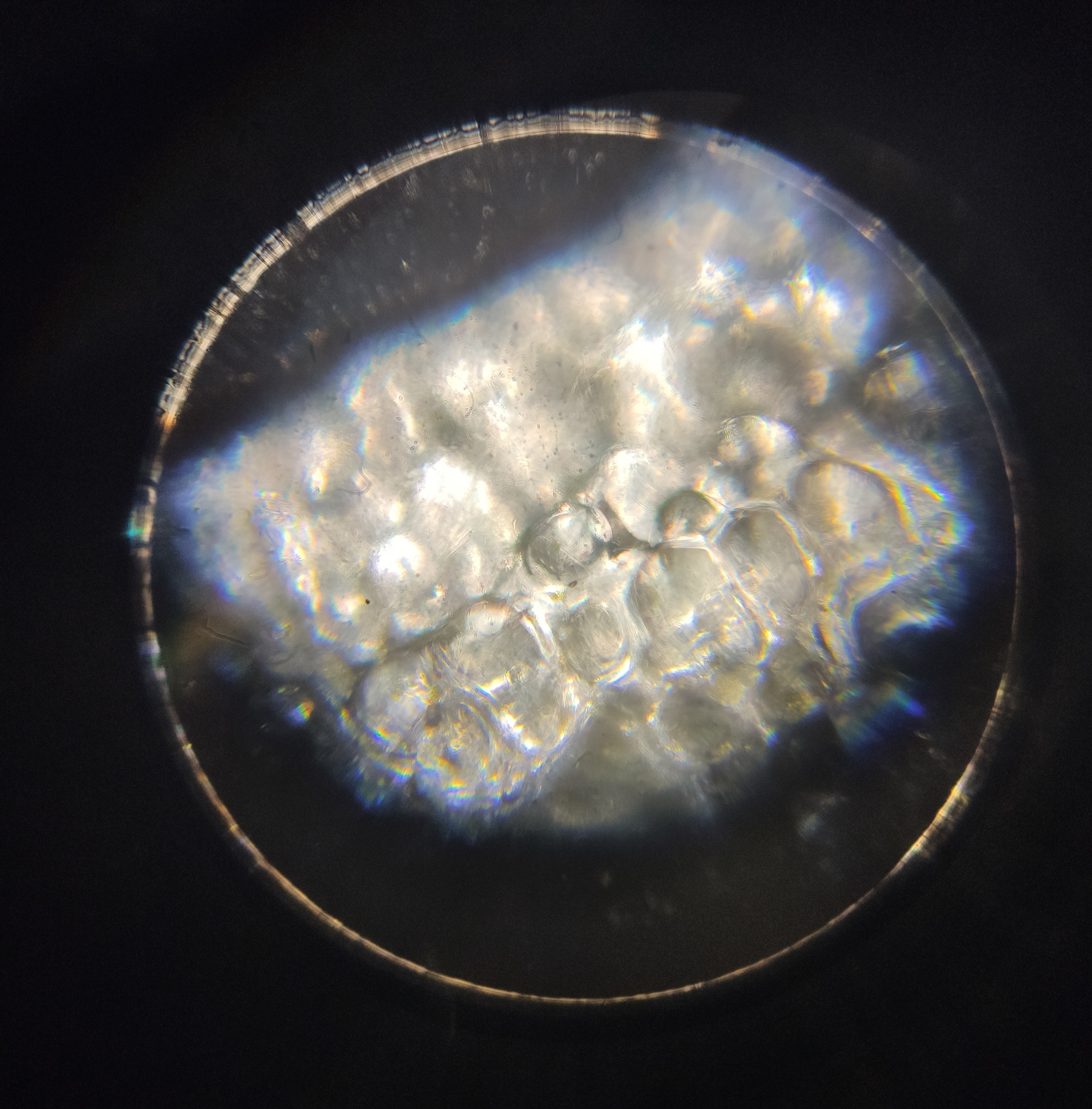 center_image