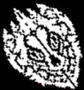 center_image